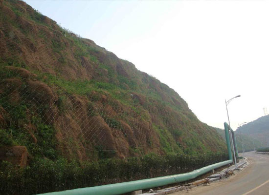 SNS柔性防護(hù)網(wǎng)